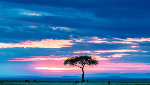Viajes Eventos con Corazón: Kenia, Atardeceres en el corazón de África