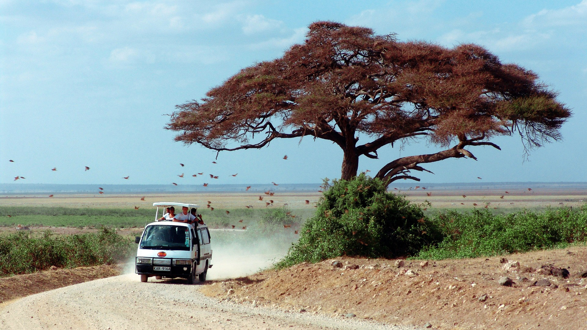 kenia-masaai-mara-safari