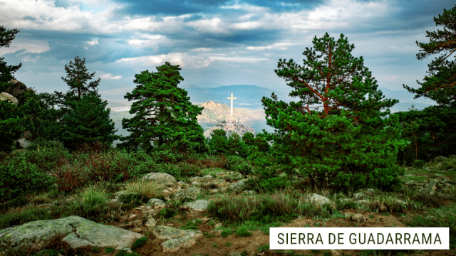 viaje-shinrin-yoku-baño-de-bosque-guadarrama