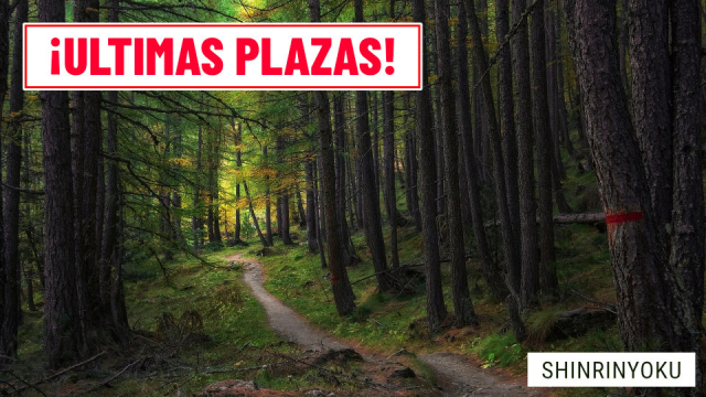 shinrin-yoku-baño-de-bosque